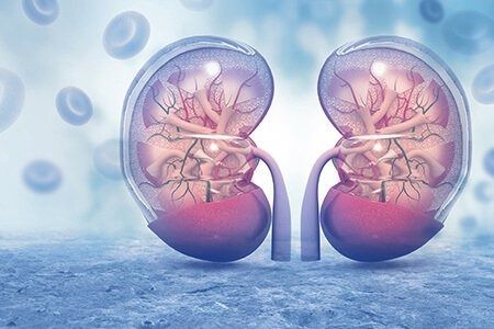 Kidney Dialysis: An Overview